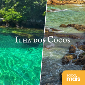 Pacote Ilha dos Cocos
