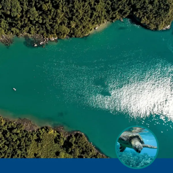 Canoas Havaianas - Imagem 2